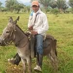 Geronimo Alvarez Vergara - @geronimoalvarezvergara - Instagram