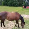 Gerónimo cruz - @user2384172400930 - TikTok
