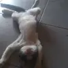 Geronimo Cruz - @geronimo.cruz20 - TikTok