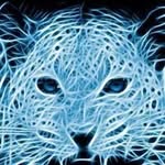Geronimo Mendoza - @geronimo.mendoza - Instagram