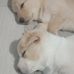 Geronimo Mendoza - Facebook
