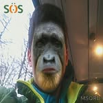 Geronimo Scharte Mendoza - @g.s.m._1411 - Instagram