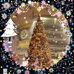 Gerri Collins - @steeler_1124_princess - Instagram