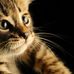 Gerri Collins - Facebook