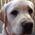 Gerri Collins - Facebook