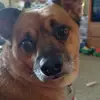 Gerri Davis905 - @gerridavis905 - TikTok