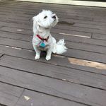 Gerri Miller - @gerri.miller.733 - Instagram