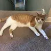 gerritmiller258 - @gerritmiller258 - TikTok