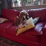 Gerry Morris - @gerry_morris523 - Instagram