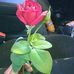 Geri Perez - Facebook