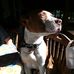 Gary Speer - Facebook