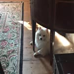 Gerri Speer - @116chestertown - Instagram