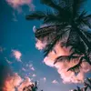 Gerri Vance - @gerrivance - TikTok