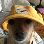 Gerrie Lee Miller-Smith - @gerrbear100 - Instagram