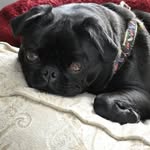 Gerry McClaughry Ballard - @gerryballard - Instagram