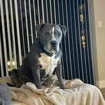 Jerry Benson - @jnbstyle59_ - Instagram