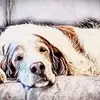 Gerri Bowe - @gerri.bowe - TikTok
