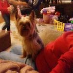 Jerry Bragg - @bragg9353 - Instagram