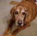 Gerry Branch - Facebook
