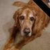 Gerry Branch - Facebook