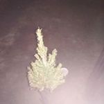 Jerry Buchanan - @jerrybuchanan4 - Instagram
