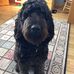 Gerry Cameron - Facebook