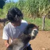 Gerry carr - @gerry.carr - TikTok