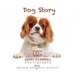 Gerry O'Carroll - @gerryocarrolldogstory - Instagram