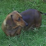 Gerry Carter - @gerry.carter.528 - Instagram