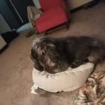 Jerry Chamberlain - @jerry_chamberlain - Instagram