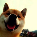 Gerry Chang - @gerrychang2007 - Instagram