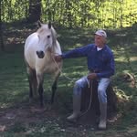 Gerry Coleman - @gerrycolemanhorseman - Instagram