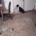 Gerry Daniel - @gerry.daniel.5095 - Instagram