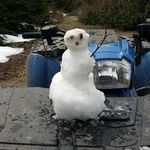 Gerry Dawson - @gerry.dawson.794 - Instagram
