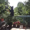 Gerry Douglas - @2181757433 - TikTok