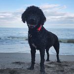 Jerry Dowd - @dowd_jerry - Instagram