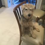 Gerry Downey - @kinder_gerry - Instagram