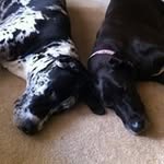 Gerry Downey - @downey.gerry - Instagram