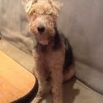 Gerry Downey - @gerry_rivertrade - Instagram