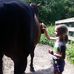 Gerry Downey - Facebook