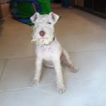 Gerry - @gerrydowney123 - Instagram