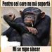 Gerry ODriscoll - Facebook