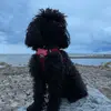 garydupuis272 - @garydupuis272 - TikTok