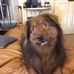 Gerry Dupuis - Facebook