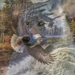 Jerry Eagle - @jerryeagle4 - Instagram