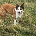 Gerry Ellis - @gellis75 - Instagram