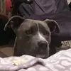 Uncle_Agemo - @jerryellison57 - TikTok