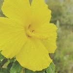 Jerry Emery - @jerry_emy540 - Instagram