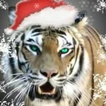 Jerry Emery - @webjem2 - Instagram
