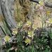 Gerri Ewert - Facebook